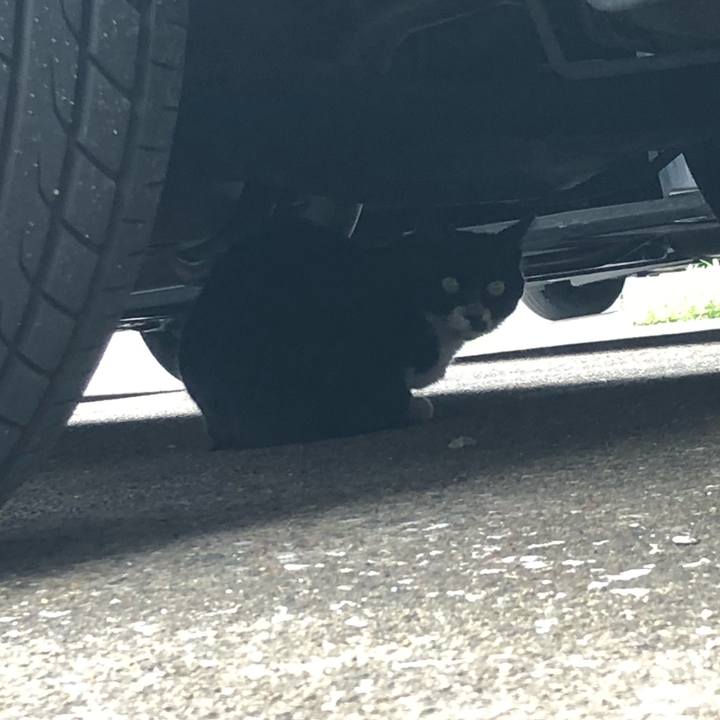 E510298e b6c4 4684 8adb 578754662eed 1599966833074