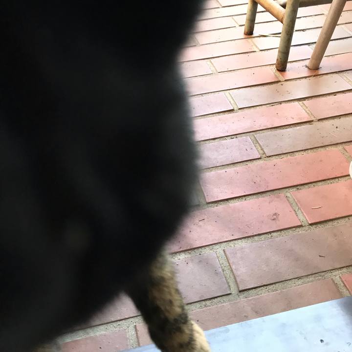 E5102ad3 3a63 44c0 813b fafa3ae1a2d1 1517116080294