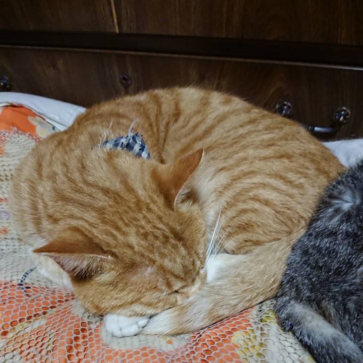 E5104690 2d95 481e 853f 9f86e1005df4 1572787185475