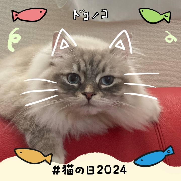 E5104f33 5e12 4756 a630 1596b979ac0f 1708607661820