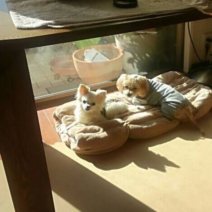 E51062c3 4f66 4185 90b4 5cd103bb899a 1520056884226