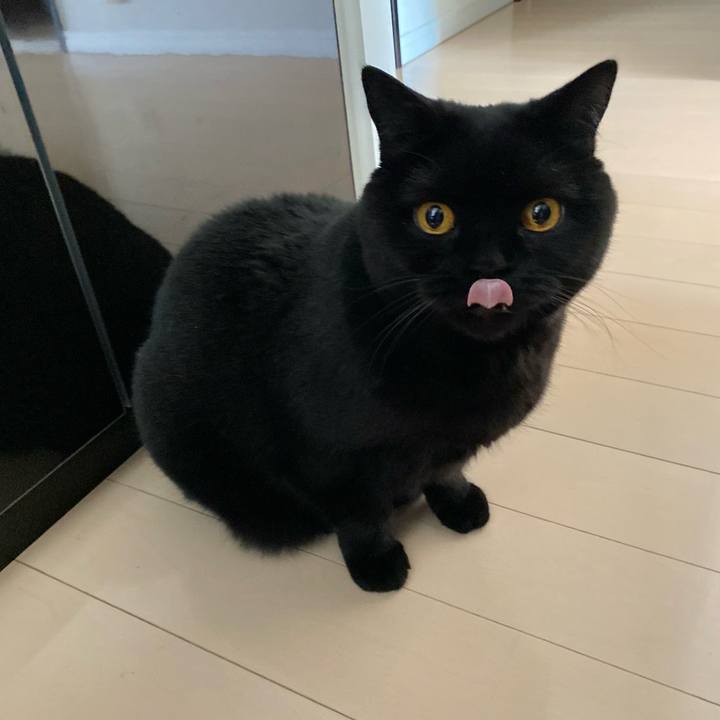 E5106755 e343 445b 9f70 44a214faf39a 1681426070750