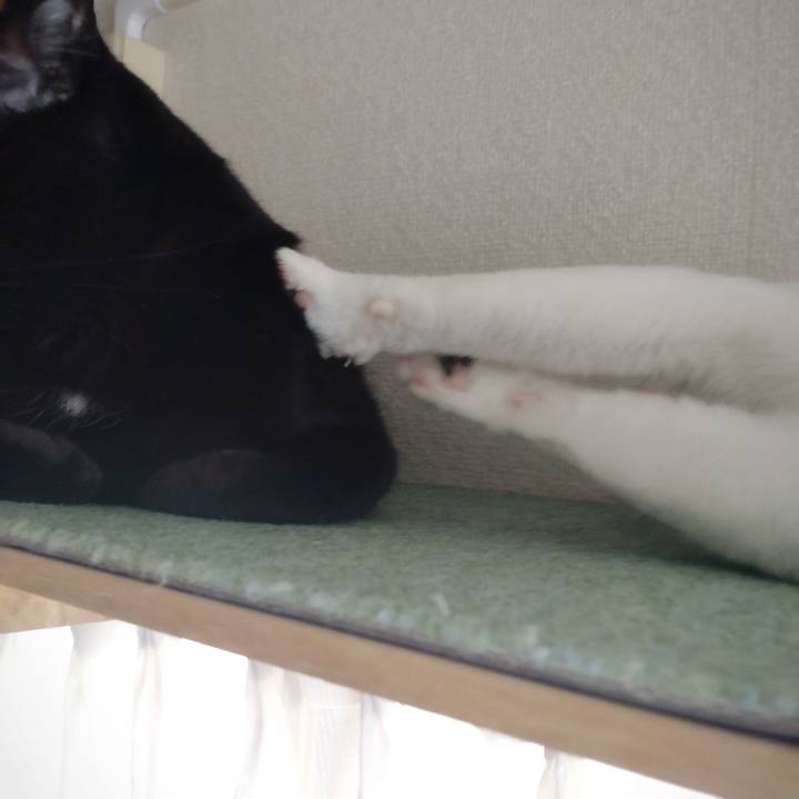 E5107bf7 abff 47b7 a09b 8b6153b39fb0 1672444730870