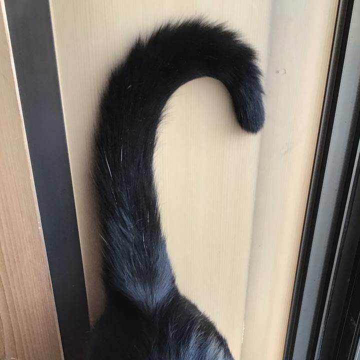 E510933f 66d9 4aa2 9cff 8d9f3e6477c0 1716018749677