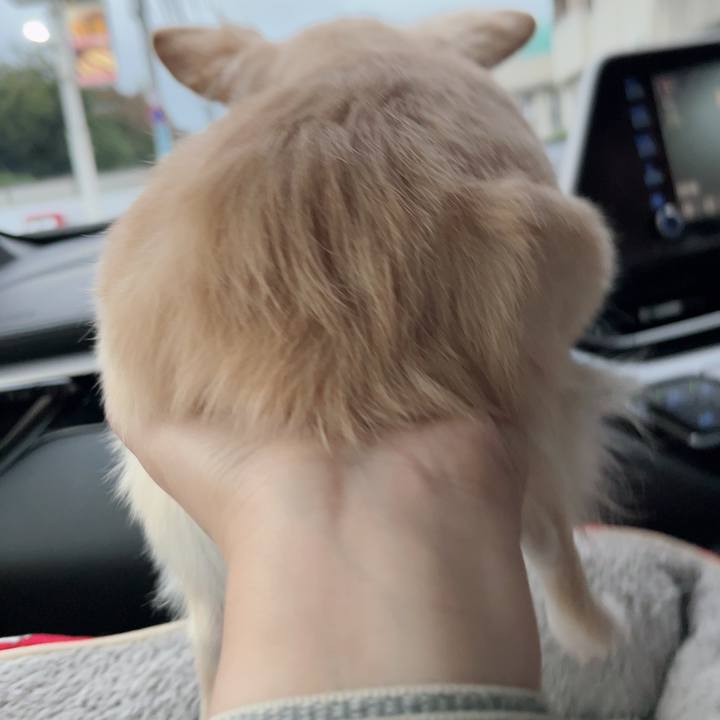 E510a155 7349 40e9 8ac9 24bfbfafb88e 1728202124862