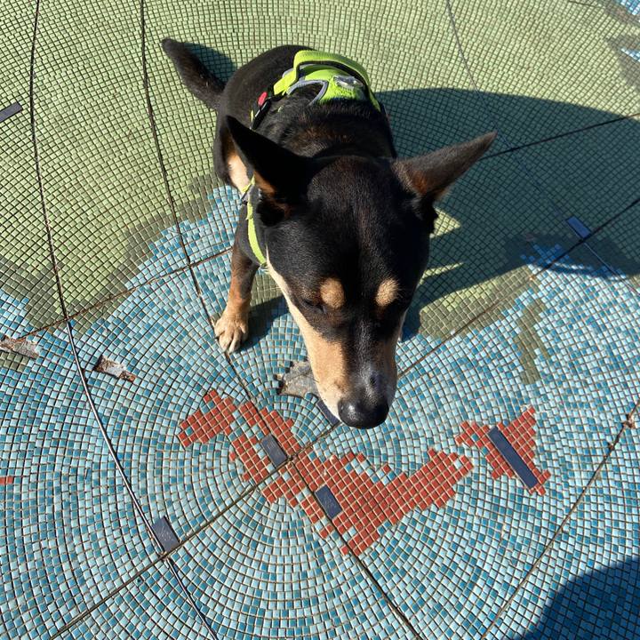 E511593f 3d65 42d9 8da6 638619e09061 1640259969017