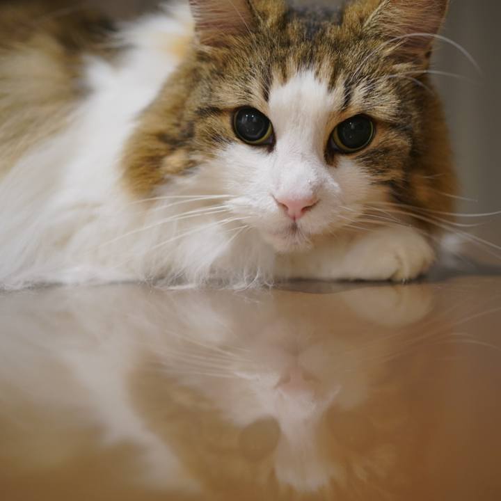 E5116670 e13c 4349 b320 1c0a8330738e 1696074137123