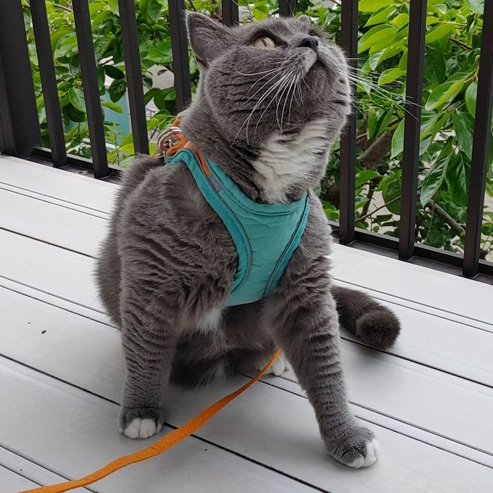 E5116926 efa2 45d6 a8c5 83fa21b241c8 1652571540875