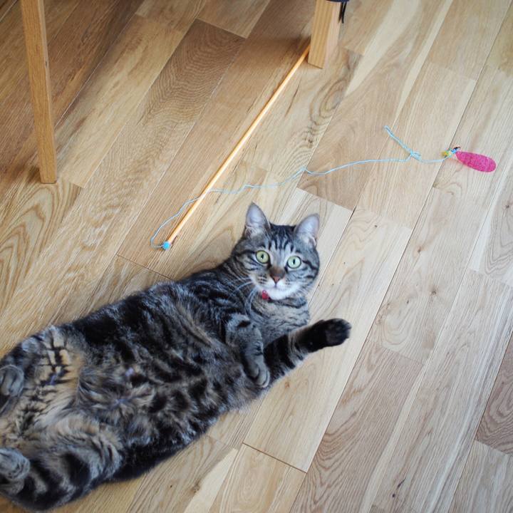 E5119324 d928 4635 be2d 47d1b894f05e 1590364228424