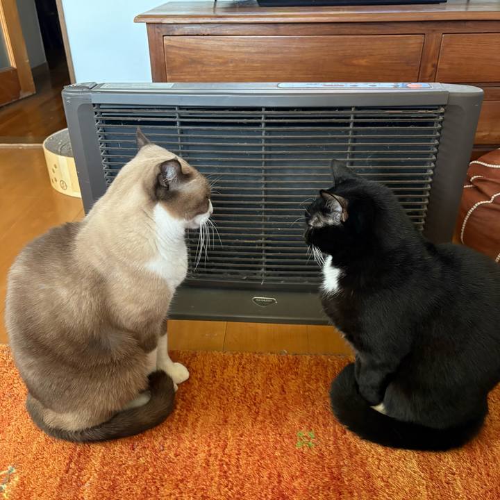 E5119aa0 9e0c 4746 9154 28dcd7edd133 1762901118240