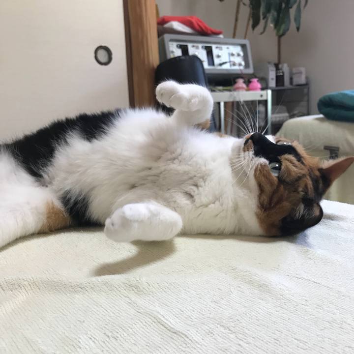 E5119cb1 44bb 4a54 bb07 bac33bec912f 1529668975068