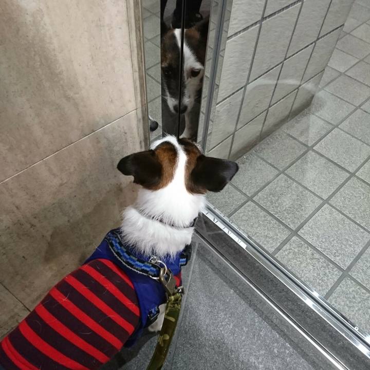 E511b58c b49f 4889 bdaf 9c0f257f6016 1516314560706