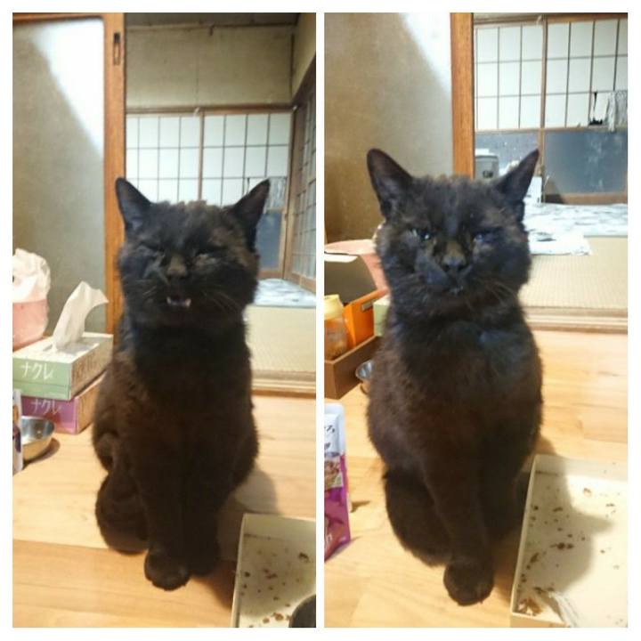 E511c7d8 1dbb 4e51 bfe4 6d32a68ac1e2 1622375373322