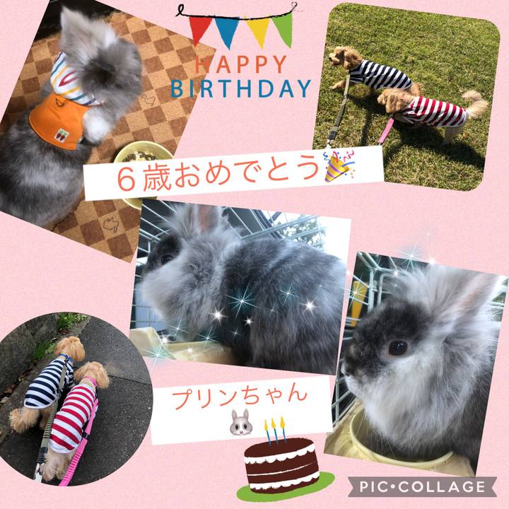 E511ee8b 603d 430d 9b90 c634f9d24315 1635077267643