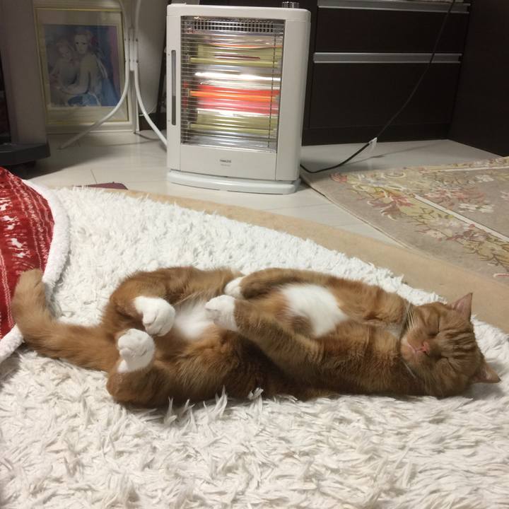 E5121021 7e9c 49fe 8cae 8d1d44c706aa 1587822255419