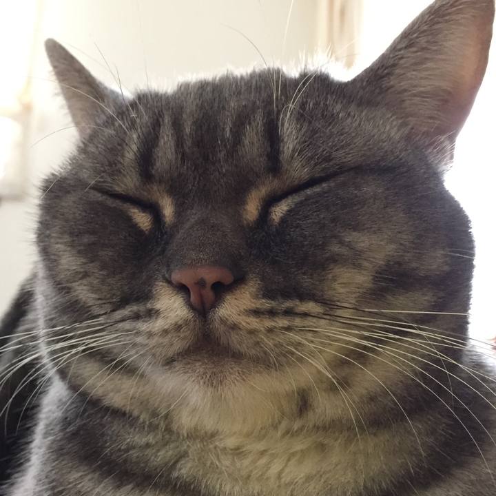 E5124d70 1add 43ae 8408 c47dde580d2c 1508323909531