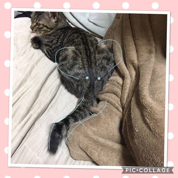 E5128a6b 0c3a 43c3 ac65 ae069bb6af23 1541661499893