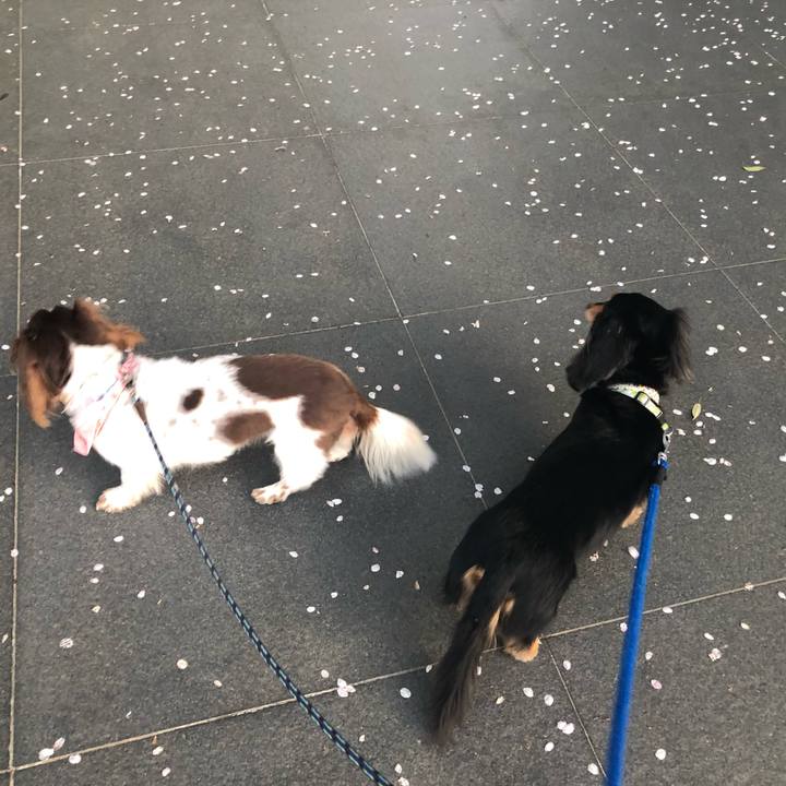 E5129744 3bad 48fc a292 093605149ddc 1555200817465