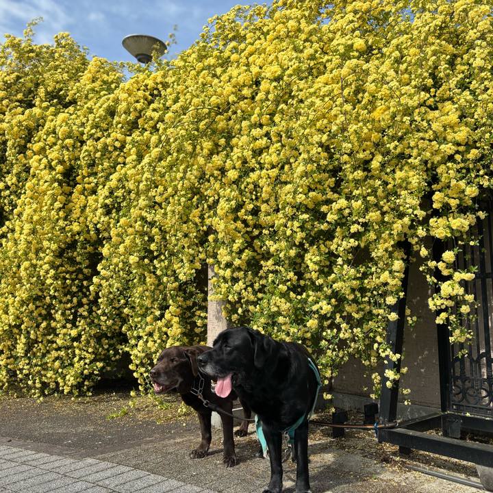 E5129d8d ae63 44d5 a284 f7f5737bfa5e 1776516283745