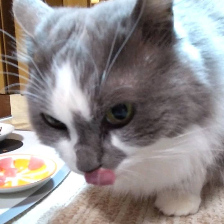 E512c744 65a7 4807 8353 af14904650d1 1703926707639