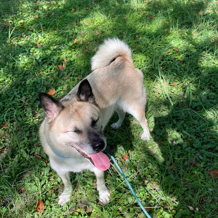 E512eb24 af53 4948 b62c 7bce29175bc6 1723963500304