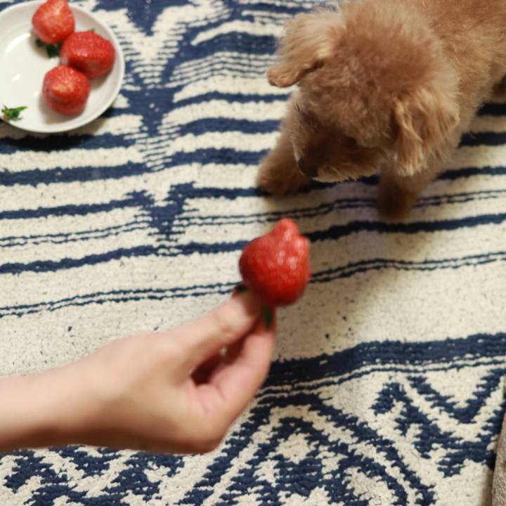 E51302a0 6f50 492a b316 6ddfae025961 1612880825925