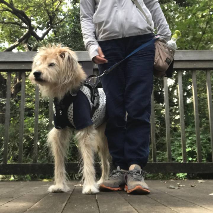 E5130357 45a7 4574 b10c 4e8529390212 1634801316313