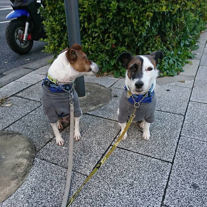 E5133438 cd4a 4bf3 8dd0 59c9ead94597 1575324544093