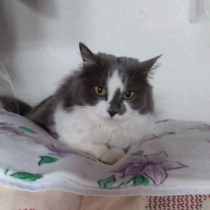 E5137445 4032 4a1e 87d3 d63bc23589d7 1653027148023