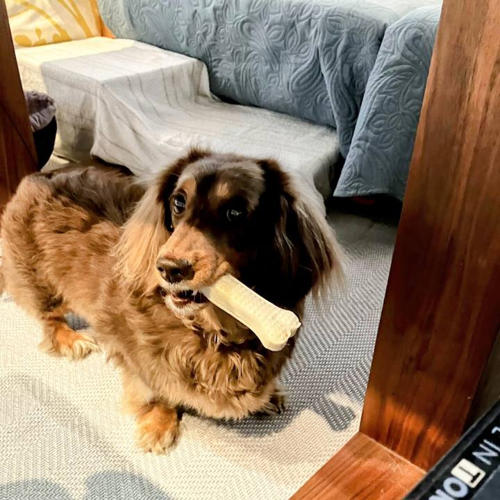 E51380a4 cd44 4bda a32e 345ec042f51a 1731546027831