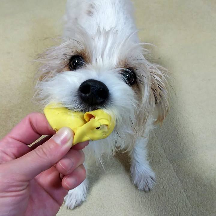 E5138200 123a 407f 8c88 3a0b5460755d 1548504231470