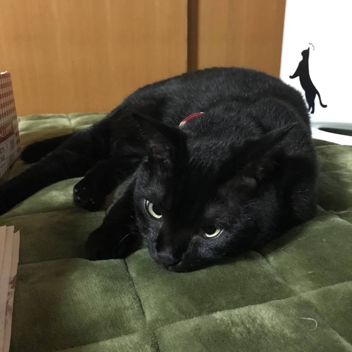 E513f0d7 9b12 4051 a495 4f0f25070a65 1508161738468