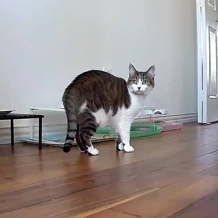 E513f4fc 8abc 4ced 8b20 7fc74de6249e 1769134074460