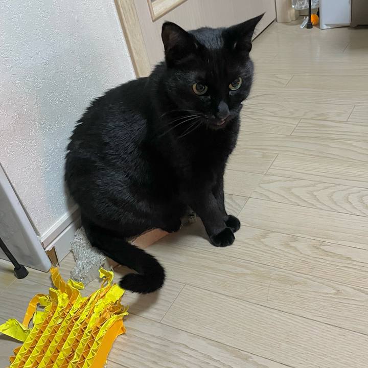 E51403a6 847d 4ab1 a325 b27ed4e62490 1771243576463