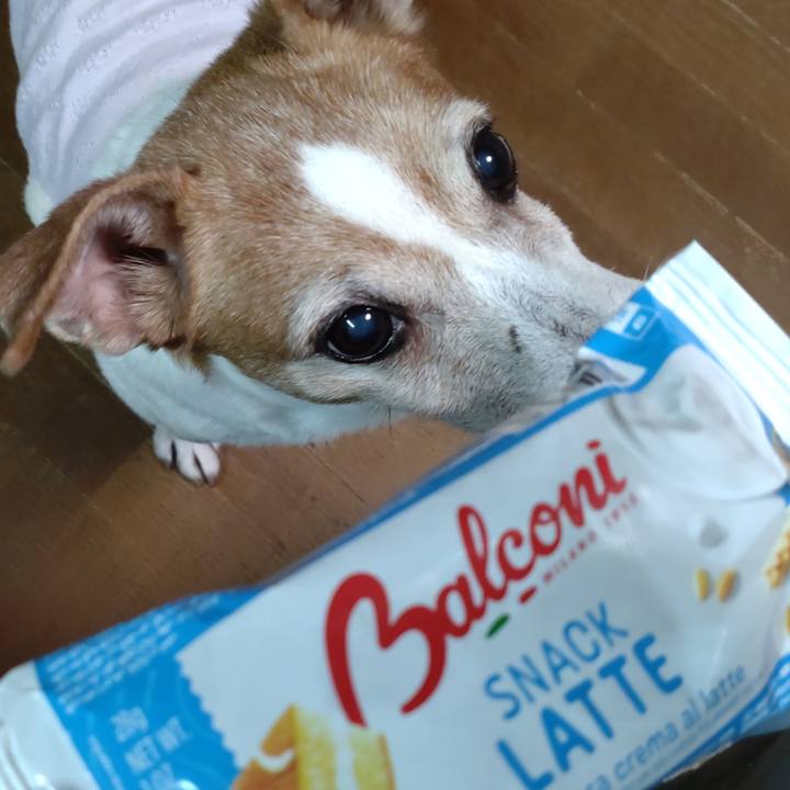 E514356b 71bf 4f77 bf0b 39e28af8eae0 1765797368643