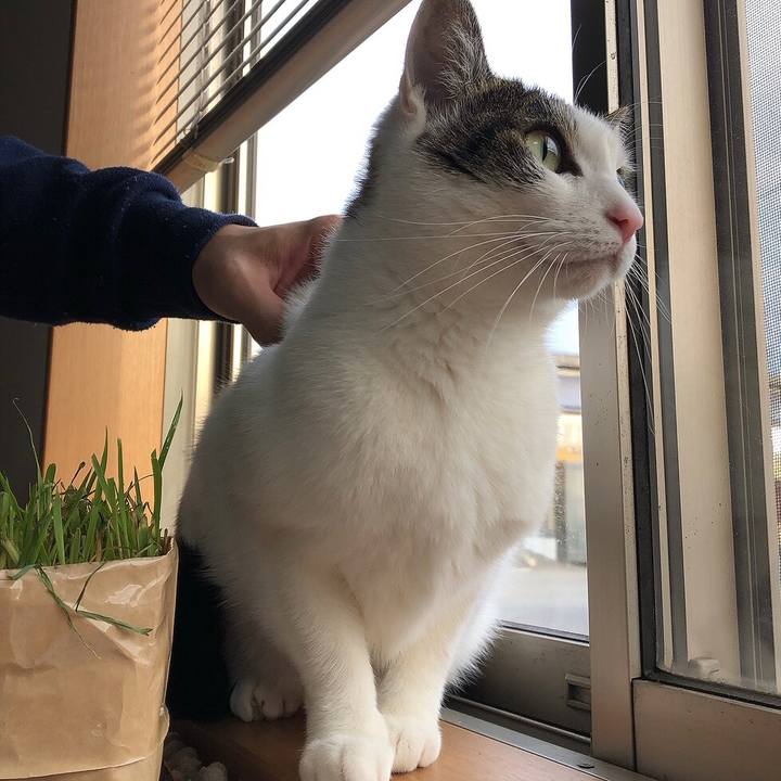 E5147ec1 d094 401f b918 09afa8143a99 1672356818993