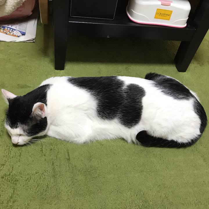 E51487fa 55a5 4a1c 9f35 812e4ca3e7c4 1523375818853