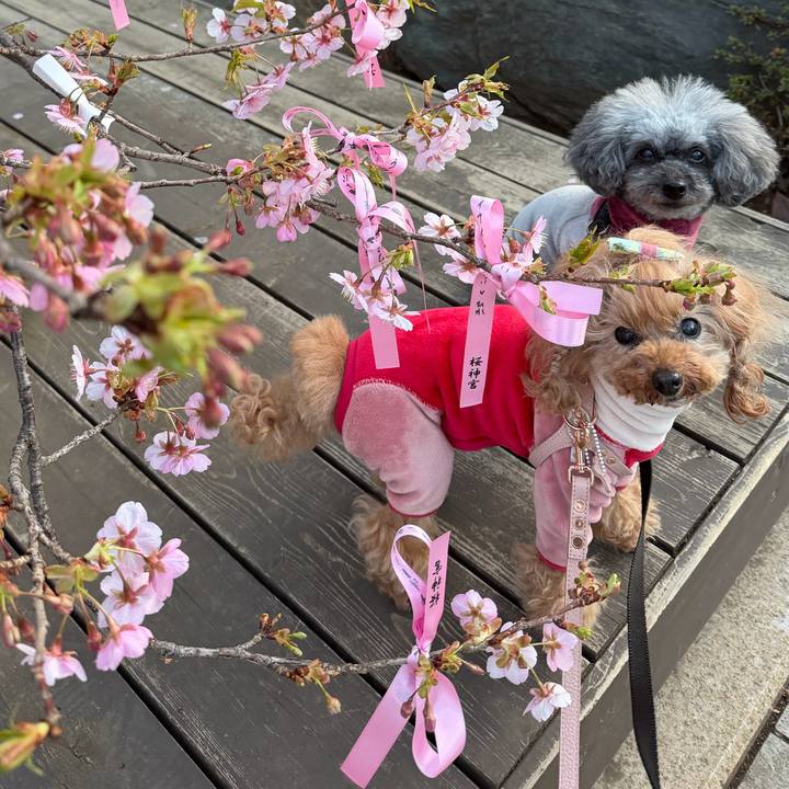 E51490e7 f6e6 4e54 b93b 9db156953400 1771719177799