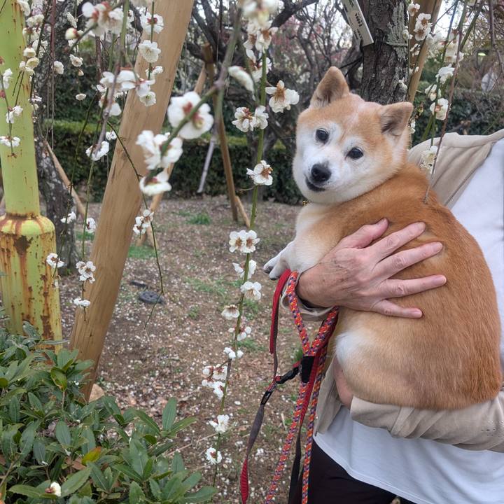 E515136a 3633 44f1 83e8 dd7231a1c903 1772113755924