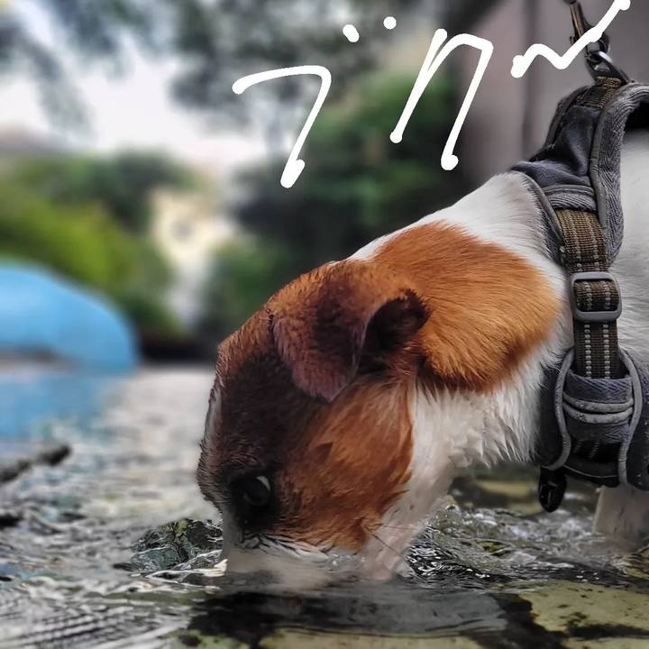 E51540bd 99cd 451f a720 c238a4a85173 1655508914170