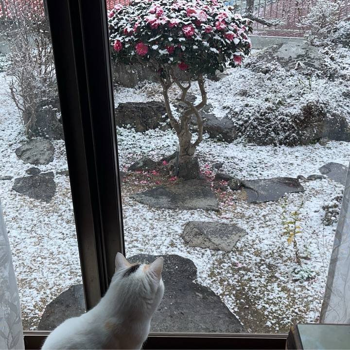 E5155514 77ee 4992 88a9 ee4067cd0d01 1770521413069