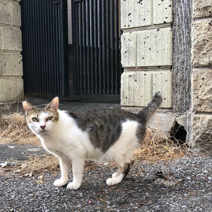 E5157e66 1915 4db8 aa56 08e8529f3d54 1601366371363