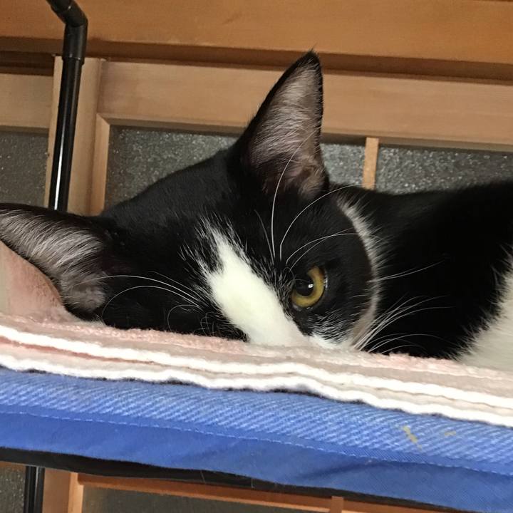 E5157fdf d408 429c a21e a393653ff7d1 1638058709435