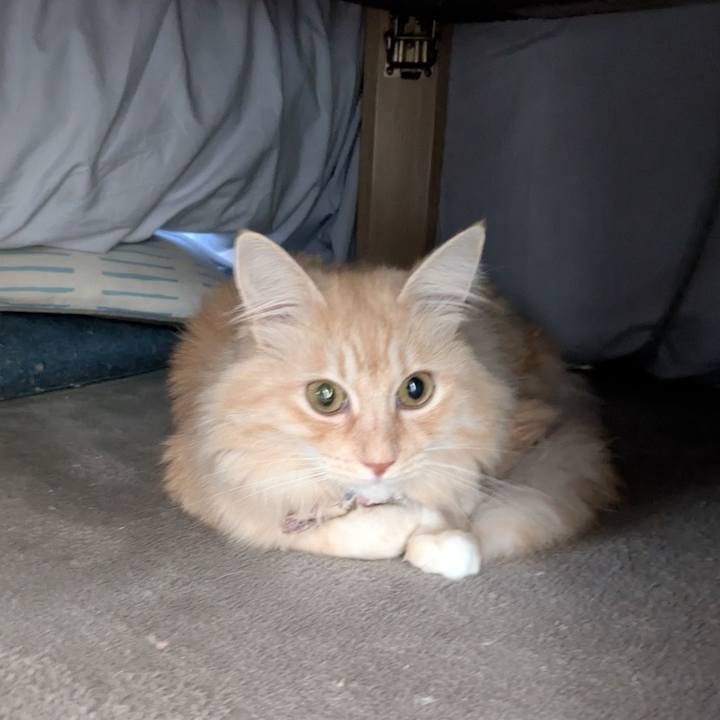 E5158e7a 2738 41b7 8984 6a5a49befc80 1763170546947