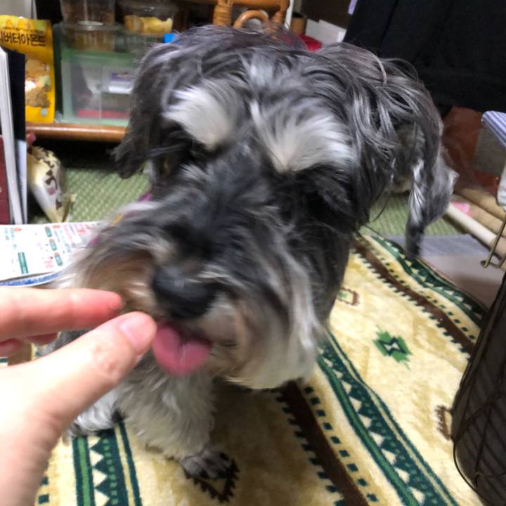 E515e2a9 8ac8 4a78 9e90 373aa0831b1b 1615208239507