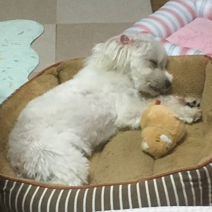 E515e5d5 fb97 4f90 ae79 d53c713d71b6 1527852681839