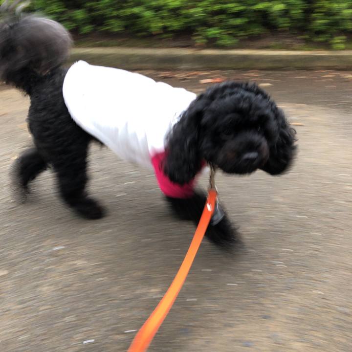 E515ebe5 7162 4fd7 8cc0 960d7aed33a5 1538697855252