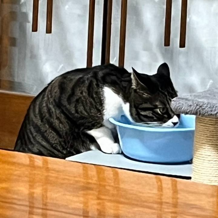 E5160c9c bcf1 40ca 89c4 4dc49f38e2ee 1770678724231