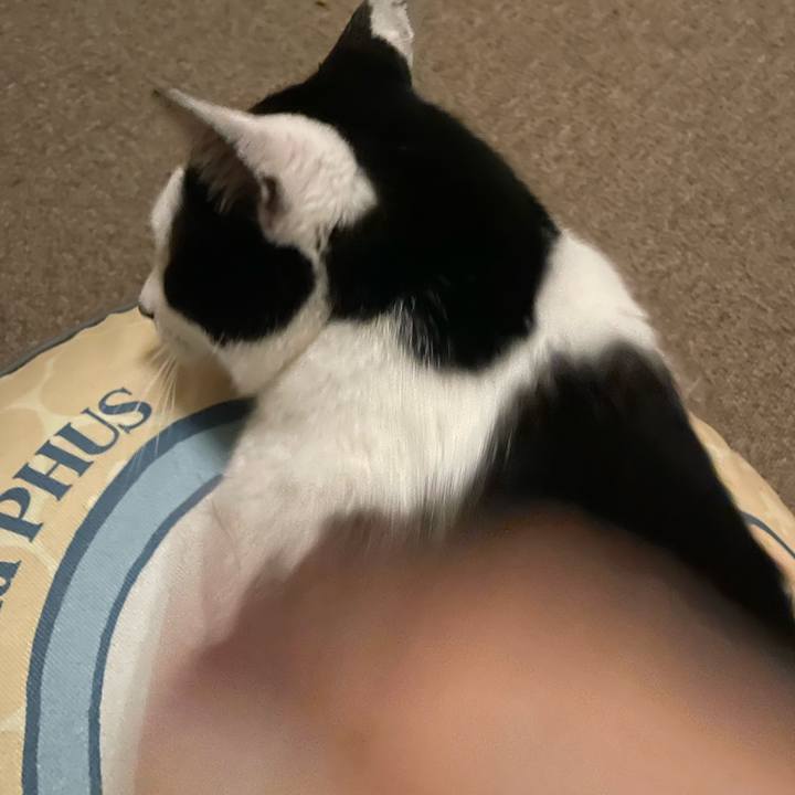 E516158f 558e 46af b0eb d5c14451a807 1714818153206