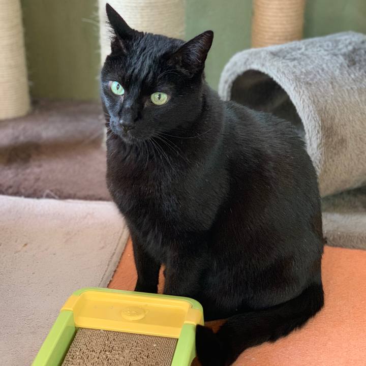 E5166f3c 7ec4 4616 bb17 29fda624087b 1555205929548